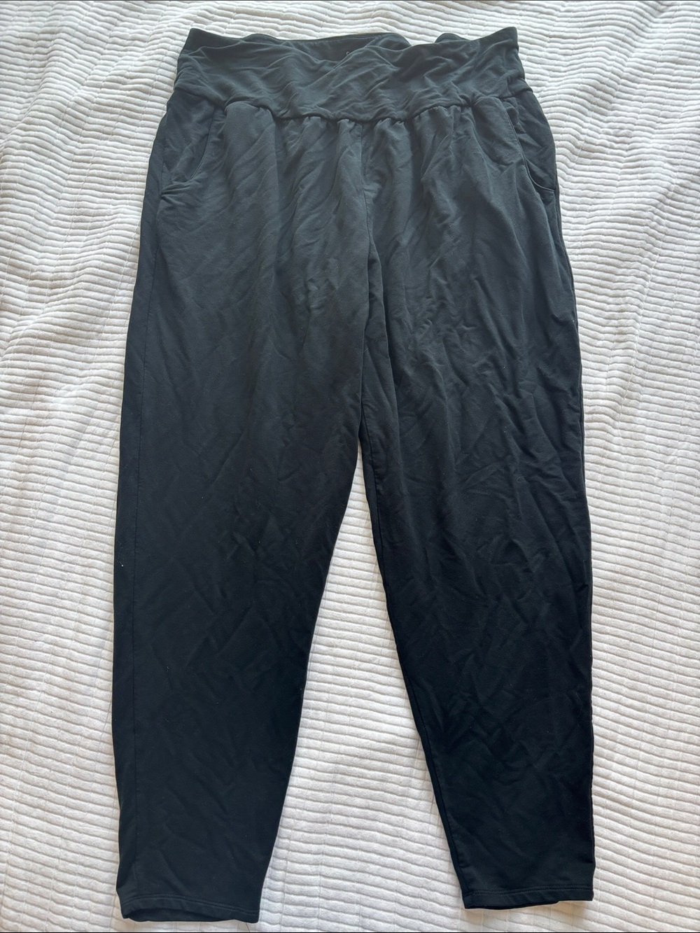 Garnet Hill Perfect Travel Pants XL